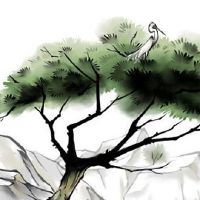 86年属虎五行缺啥带什么旺 五行缺金戴白水晶转运