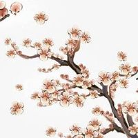 2022年4月25日出生的男宝宝五行缺什么，是什么命 重信守义 敦厚朴实