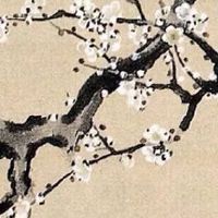 紫微斗数看另一半信息 天相在官禄宫配偶靓丽