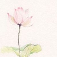 招财的人会有什么特征 眼睛细长且眼神敏锐