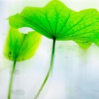 十二个星座，提高效率