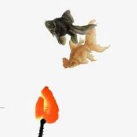 2022年4月属鸡的财运发展如何 是偏财好还是正财好