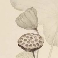 2022年8月15日五行穿衣最佳幸运色解析