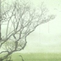 何时是年度的朗米姆，何时是今年最好的？