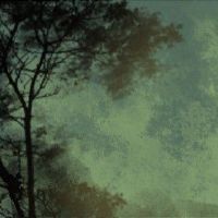 88年龙大林木命事业 自身努力积极向上