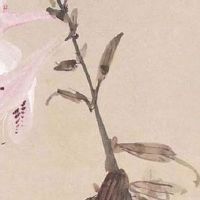 2022年五月出生的宝宝五行属什么 晚年享福婚姻甜蜜