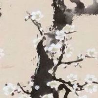 9个斗1个簸箕的手相 斗和簸箕哪个好