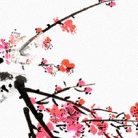 复活节出生男孩的命运详解 反应灵敏晚年可享福