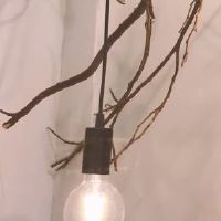 2019年2月21日，生日，2019年2月21日