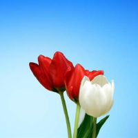 一旦你不喜欢决定性，你就没有墨水，打破你的清洁三星，最不开心