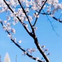 养殖场起名字大全吉祥 朗朗上口的个性企业好名