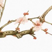 2022年4月份生肖属龙的事业运势好吗 能不能加薪