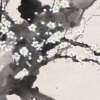 七仙女转世的人命好吗 寿命通常很长