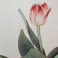 手机尾号234寓意好吗 旺财运吉祥手机数组