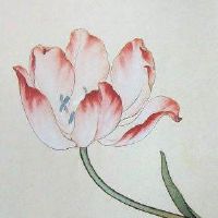 手机尾号是2的运势 富贵招财手机数字