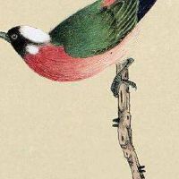 222数字能量好不好 圆满吉利手机号