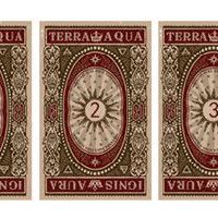 塔罗牌成功的秘诀是什么？