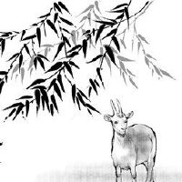 如何在四月祝福，如何祝福一个快乐的老年