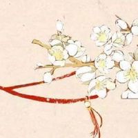 耳朵一大一小是天选之人 事业运的发展很迅猛