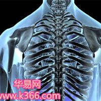 梦见身体的观点