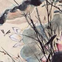 2022年5月8日出生属虎男宝宝命运好吗 桃花入命 招财进宝