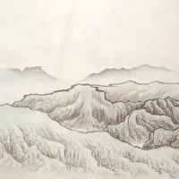 车牌都是数字好不好 数字平衡的热门汽车牌照