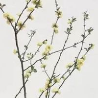 非富即贵的六颗痣 背部中央长痣继承丰厚遗产