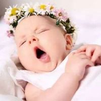  丹东哪里起名好