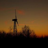 三个大念珠菌预计婚姻，压力太大而无法结婚