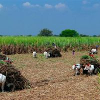 艾菲尔12星座一周（4.4-4.10）