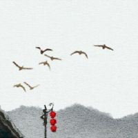 郑平是好的，生意，光滑，贵族人