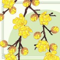 戊土命是什么意思 一生大富大贵