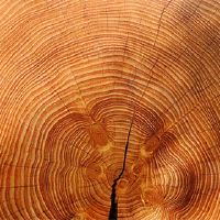 什么样的邪灵?你有家人吗?