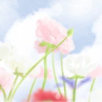 宝座的丰满是“剑华满，蔬菜成熟”