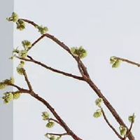 流年日支伏吟夫妻宫 配偶星弱夫妻易分离