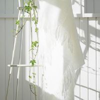 这是你和12个星座的结束