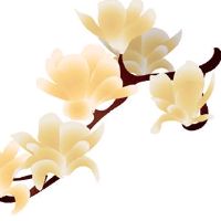 2022年6月29日宜建房动土吗 农历五月三十今日黄历宜忌