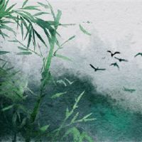 什么样的女性八个字符对女性有好处。