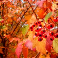 通过星座CP的3到Constext，不要乘事常规，谁是你的打击？