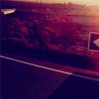 12个星座是晚餐