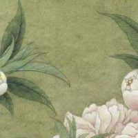 带财运的商标名字 易记顺口店铺起名