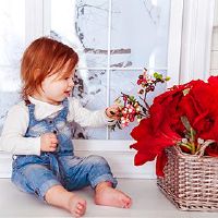 2022年12月12日出生的虎宝宝充满了智慧