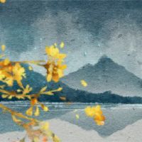 2022 is not smooth in the latter job in 2022