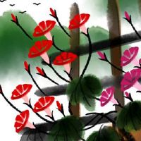 1986属虎本命年注意什么 中年虎锻炼身体有益健康