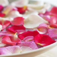 更多魅力，知道如何抓住机会，三个十二生肖的感受