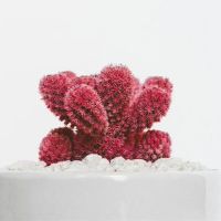 外观很大，嘻哈，心脏脆弱，只有你知道，缺乏安全星座