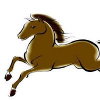 2002年，一名骑马2022财年20岁的小瘤男2022每月财富详细