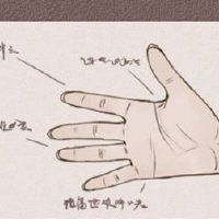 女性看起来，图形，金钱，富人，生活财富