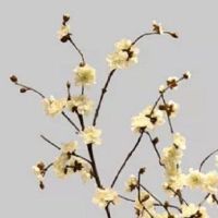 水产海鲜公司取名大全免费 热门的水产企业好名字