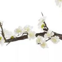 养殖场起名字大全免费 经典个性的企业名字推荐